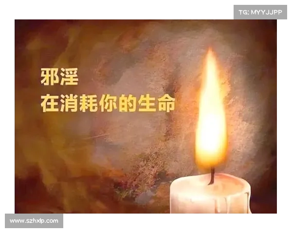 轮回业报大揭秘:踏上因果循环攻略之路 轮回业报大揭秘:踏上因果循环攻略之路