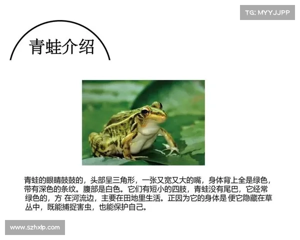 青蛙出游必备指南:安全探索池塘世界 青蛙出游必备指南:安全探索池塘世界