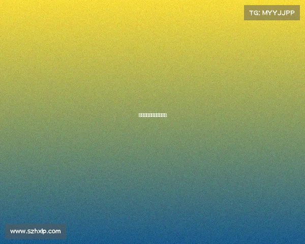 电子竞技规范化会议总结 电子竞技规范化会议总结